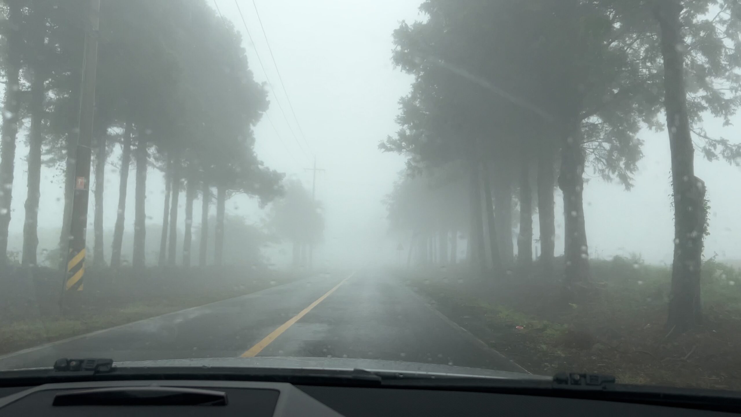 A foggy two-lane road lined with tall trees, viewed through a car windscreen.