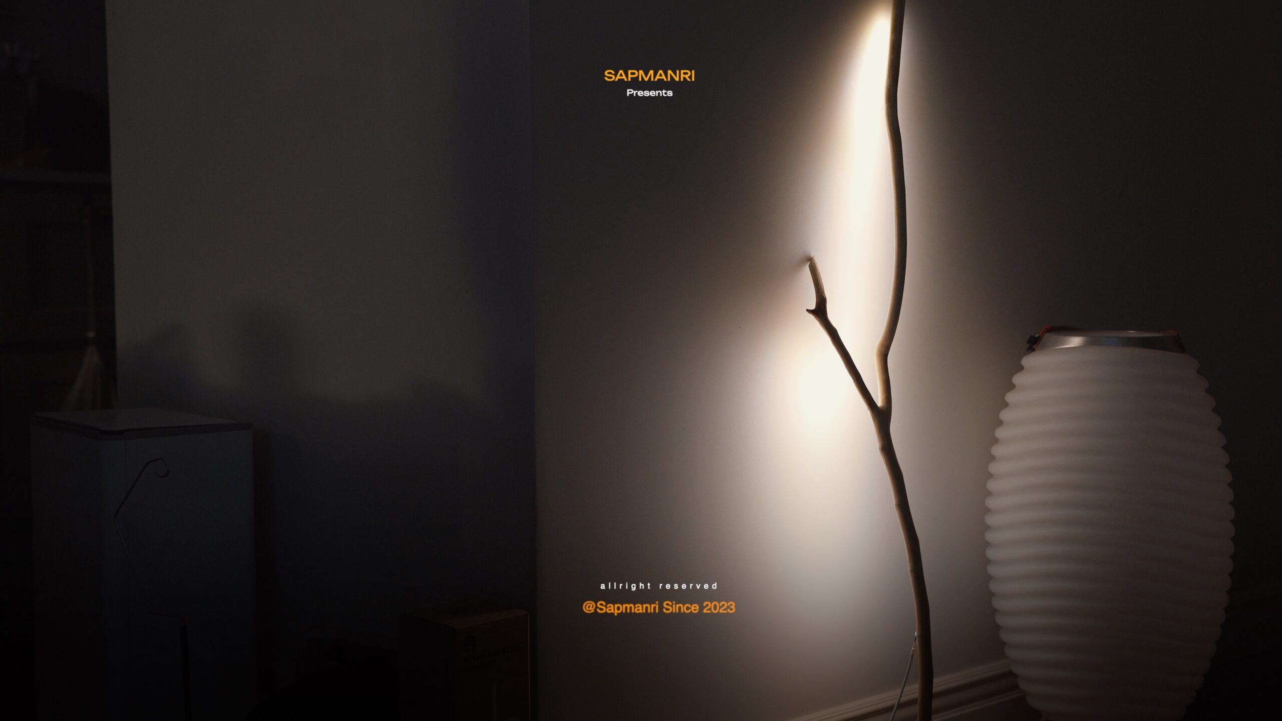 A finished branch floor lamp casting a warm pool of light and branching shadow onto a wall.