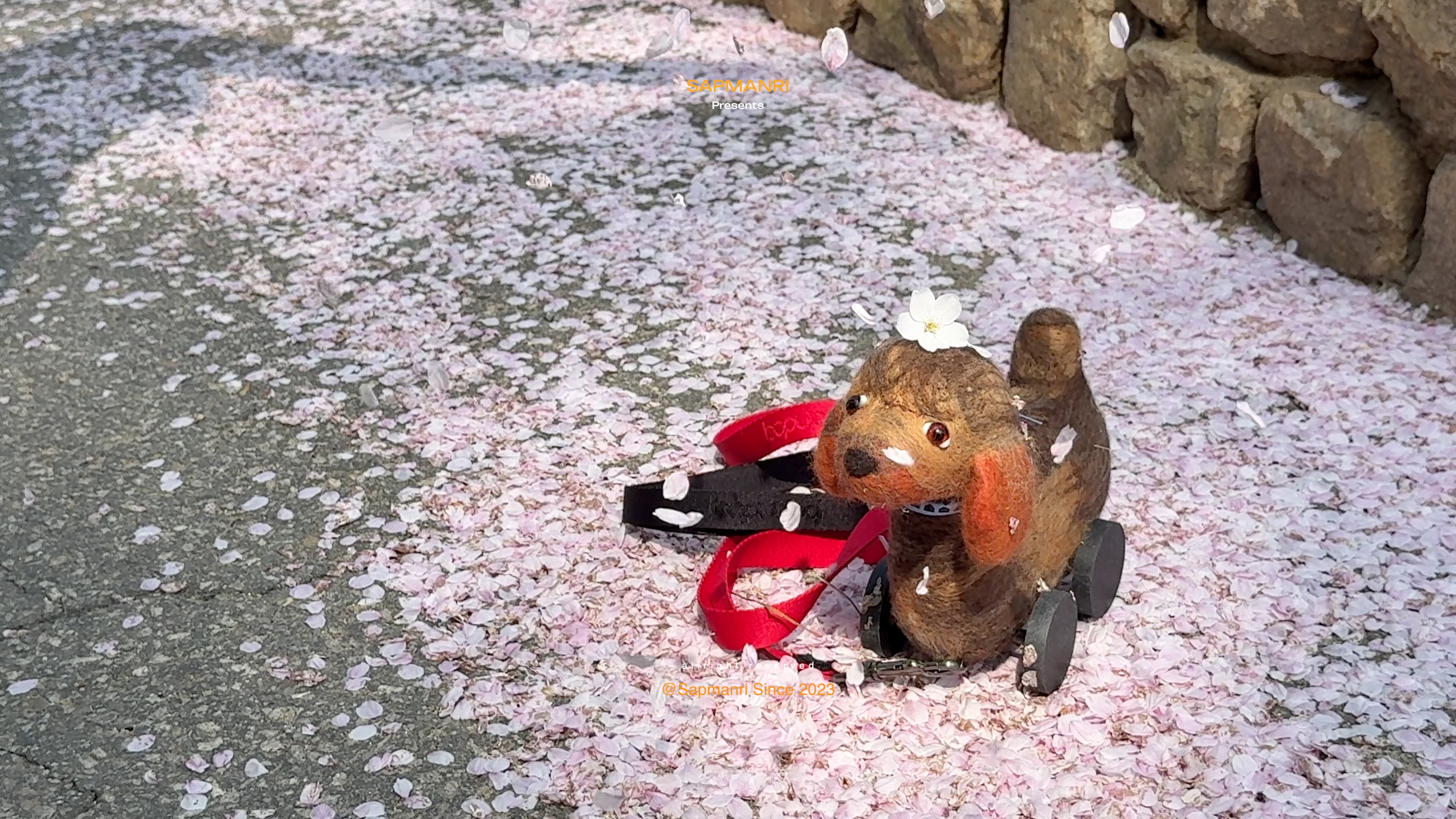 A small felt animal toy on wheels standing among many pale fallen petals on a dark path.