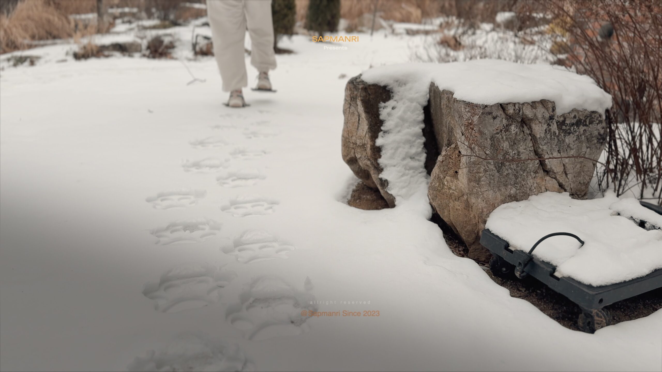 Oversized artificial paw prints pressed into snow around several exposed garden rocks.