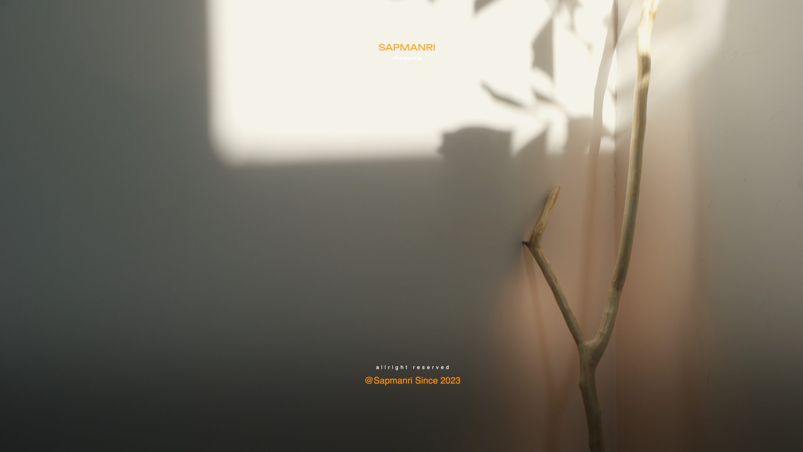 A close view of a pale branch beside a wall, lit warmly so that its forked shadow spreads across the surface.