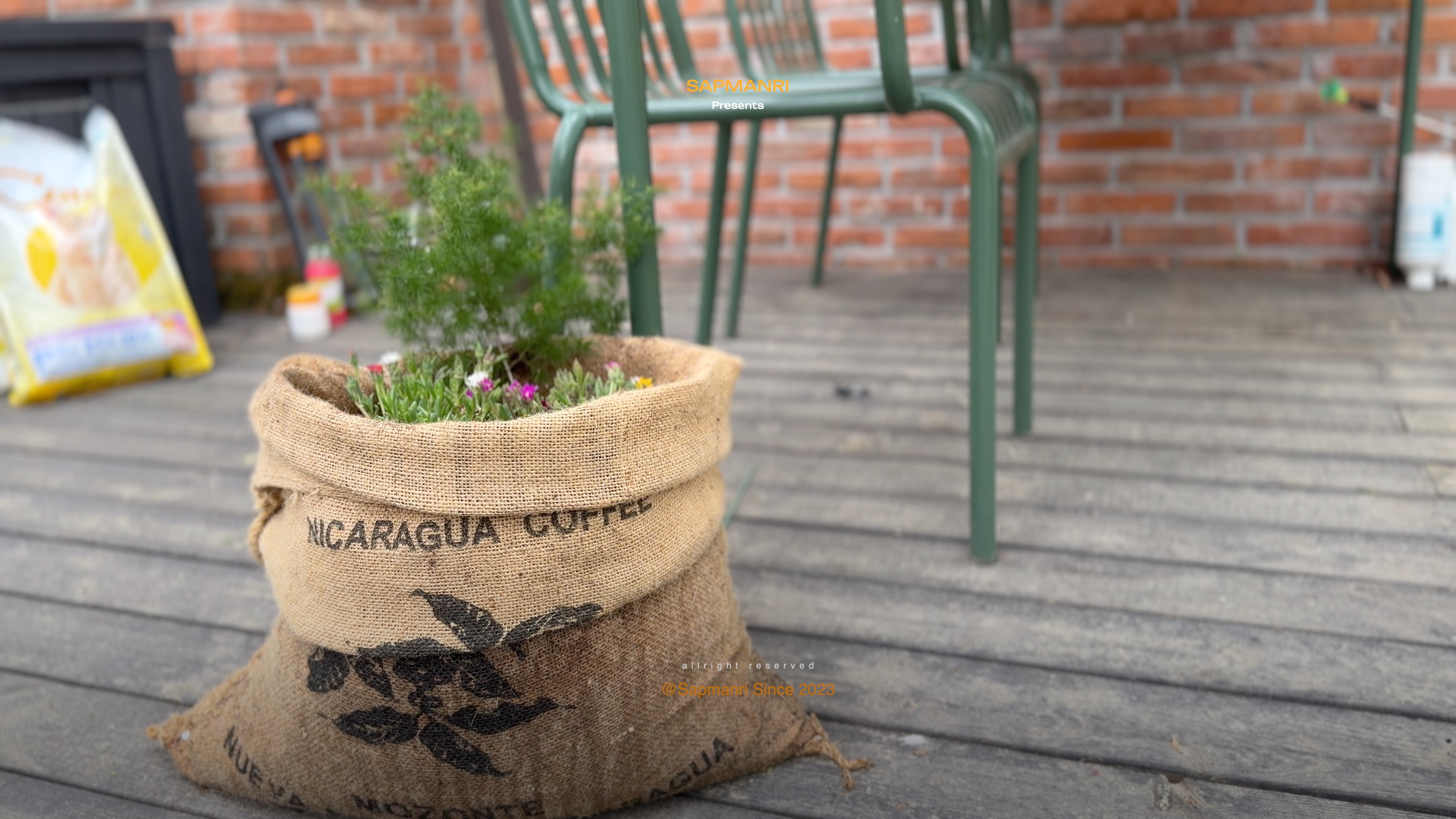 A printed Nicaraguan coffee burlap sack standing upright on a wooden deck and holding flowering plants.