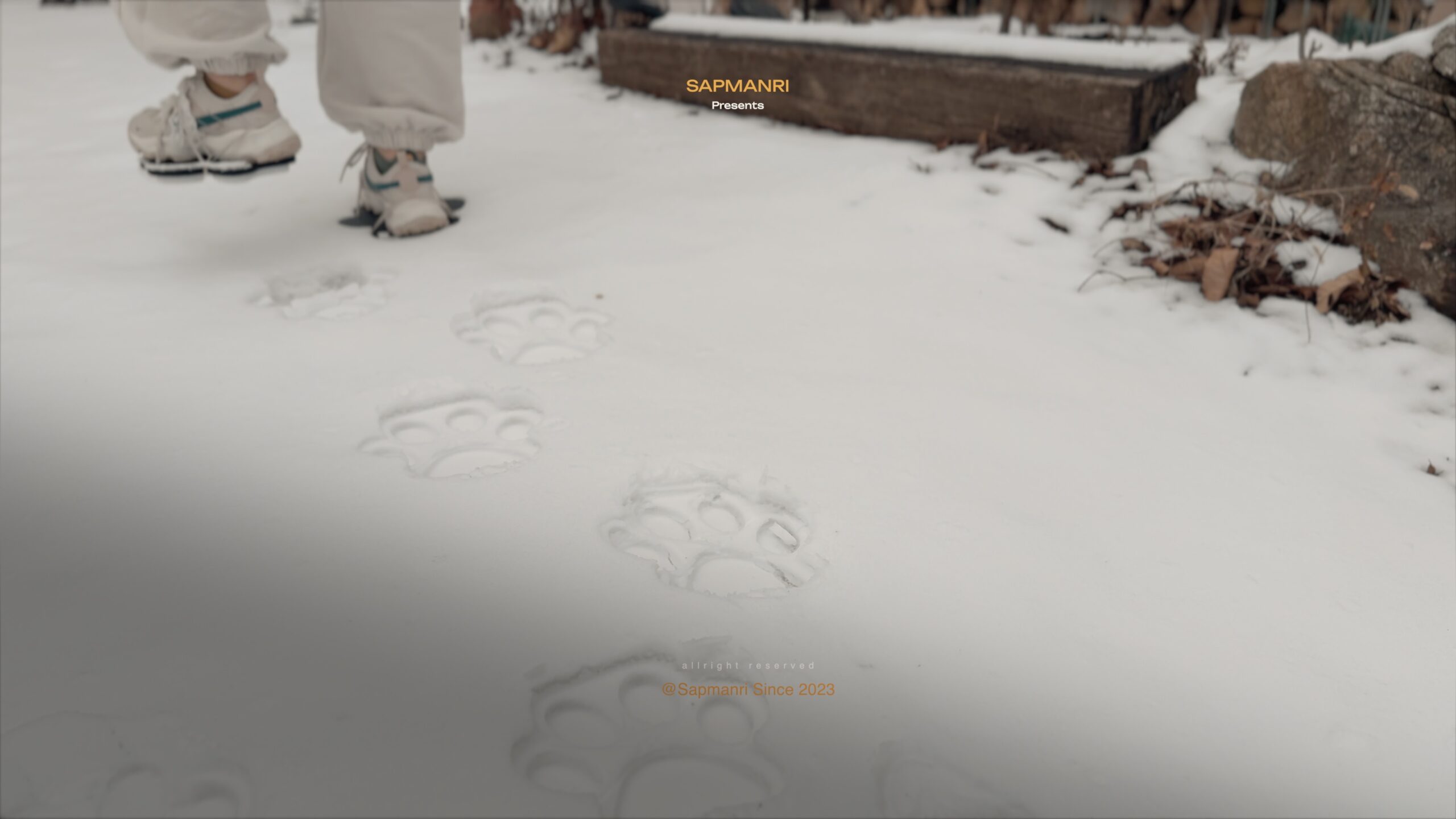 A line of large artificial paw prints crossing fresh snow beside a narrow path.