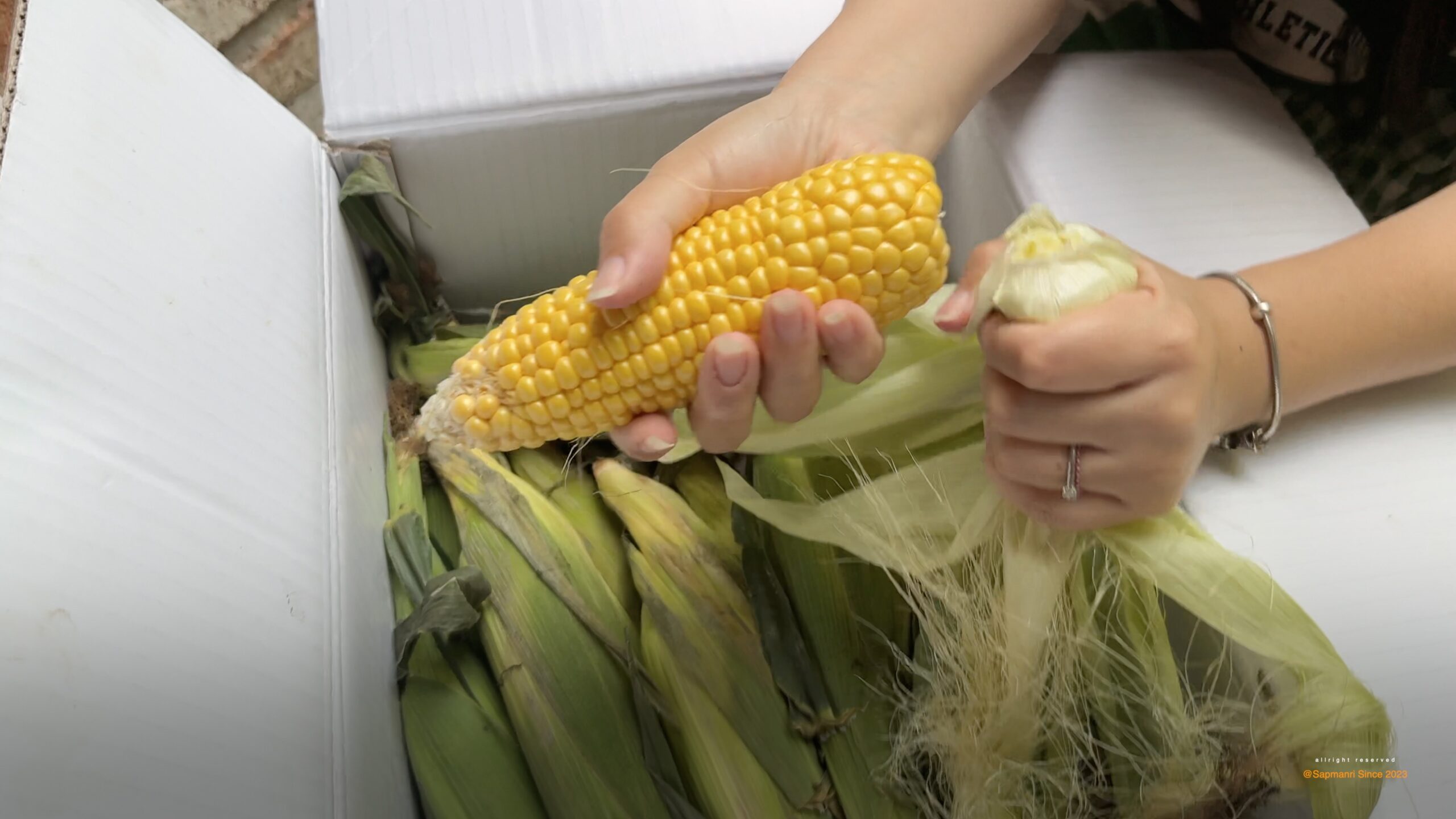 Hands shucking a yellow ear of sweet corn above an open box of corn.