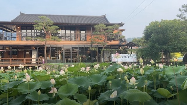 Country Life Year 3: Meet Byeol, and the Rainy Season Begins